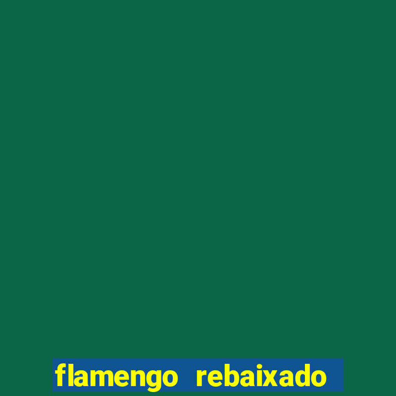 flamengo rebaixado em 1995