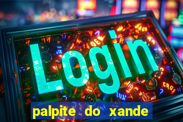 palpite do xande de hoje