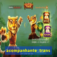 acompanhante trans santos sp