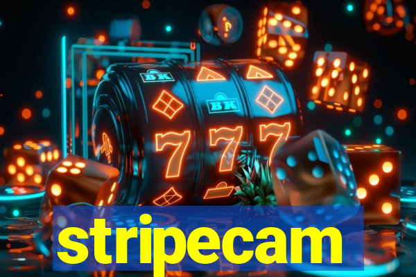 stripecam