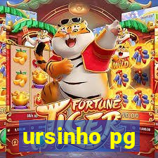 ursinho pg