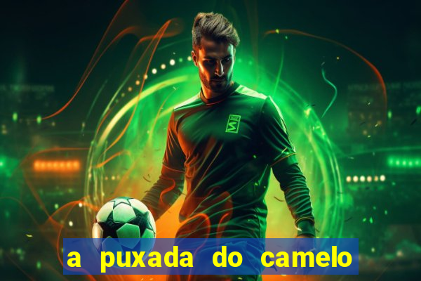 a puxada do camelo no jogo do bicho