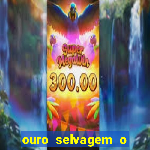 ouro selvagem o que aconteceu na vida