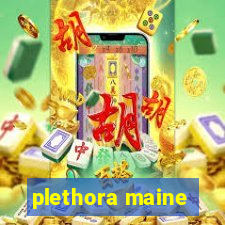 plethora maine