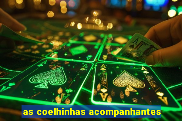 as coelhinhas acompanhantes