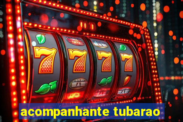 acompanhante tubarao