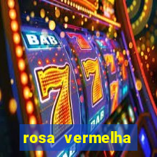 rosa vermelha (letra e cifra)