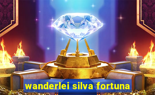 wanderlei silva fortuna