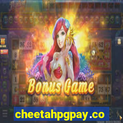 cheetahpgpay.com