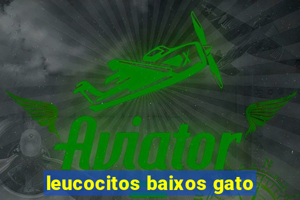 leucocitos baixos gato