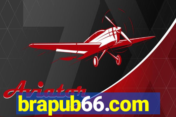 brapub66.com