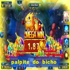 palpite do bicho deu no poste