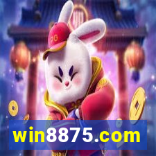 win8875.com