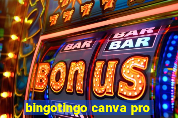 bingotingo canva pro