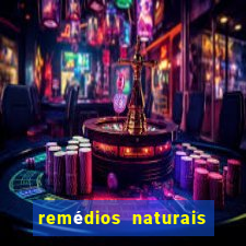 remédios naturais para diabetes