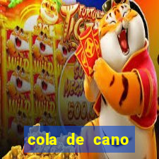 cola de cano quanto tempo para secar