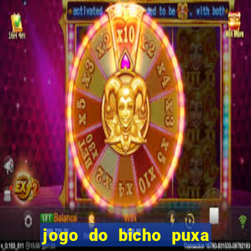 jogo do bicho puxa de dona maria