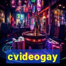 cvideogay