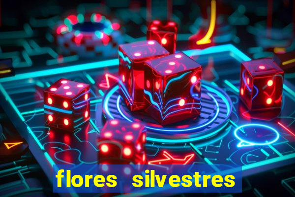 flores silvestres desbravadores desbravadores 25 flores silvestres e seus nomes