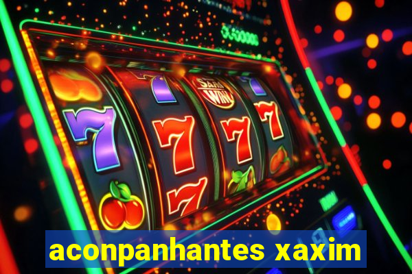 aconpanhantes xaxim