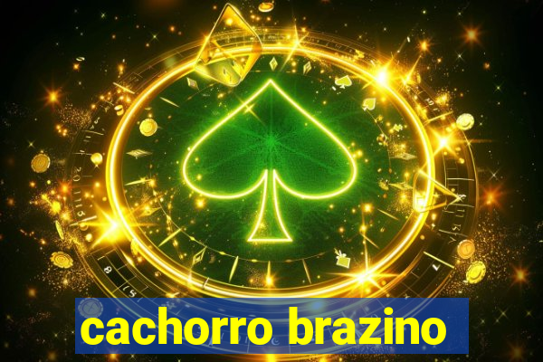 cachorro brazino