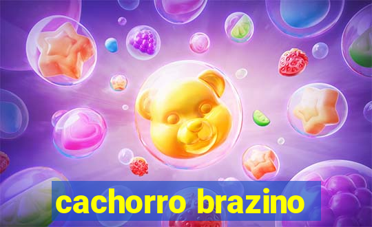 cachorro brazino