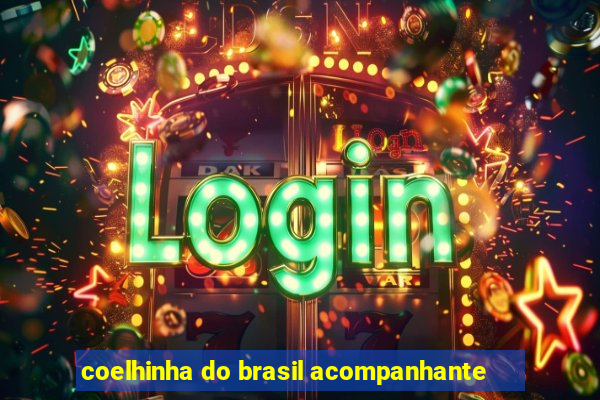 coelhinha do brasil acompanhante