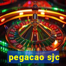 pegacao sjc