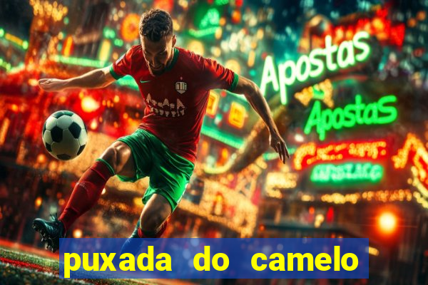 puxada do camelo no jogo do bicho