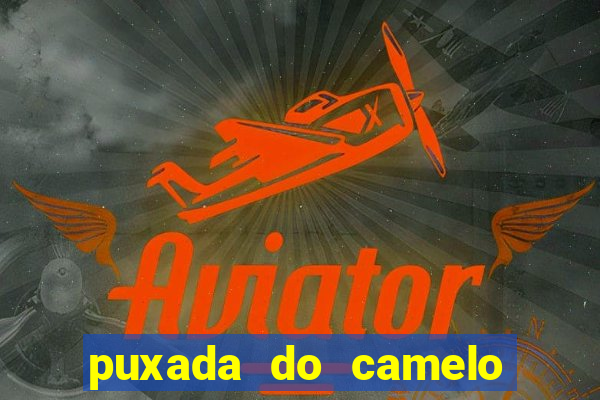 puxada do camelo no jogo do bicho