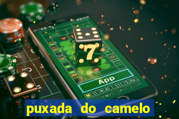 puxada do camelo no jogo do bicho