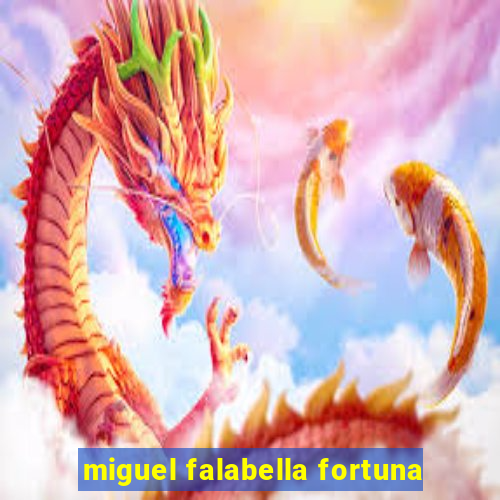 miguel falabella fortuna