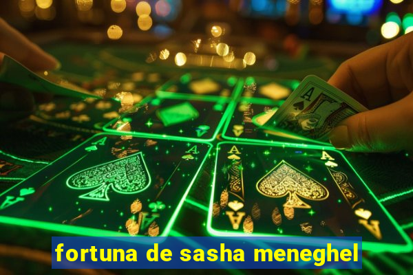 fortuna de sasha meneghel