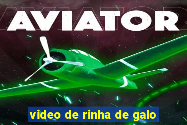 video de rinha de galo