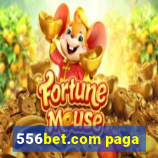 556bet.com paga