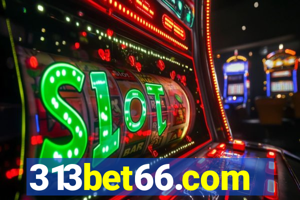 313bet66.com