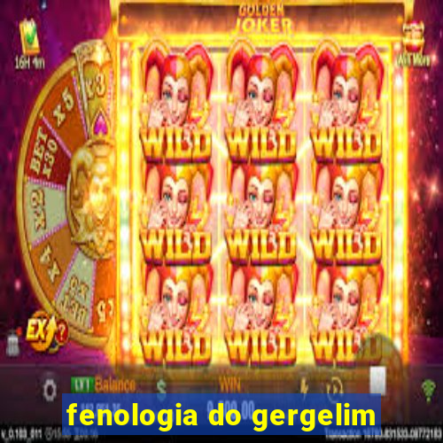 fenologia do gergelim