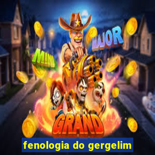 fenologia do gergelim