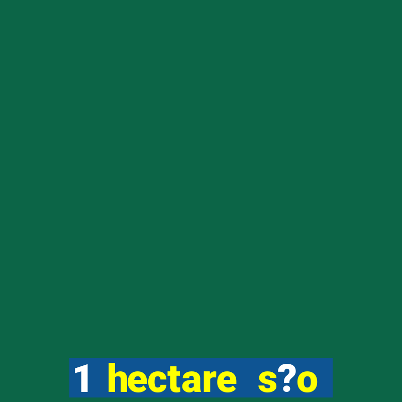 1 hectare s?o quantas tarefas na bahia