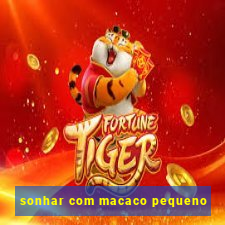 sonhar com macaco pequeno