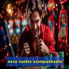 neca santos acompanhante