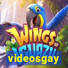 videosgay