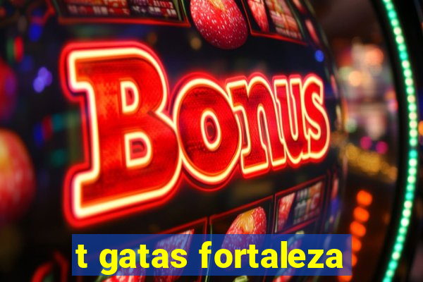 t gatas fortaleza