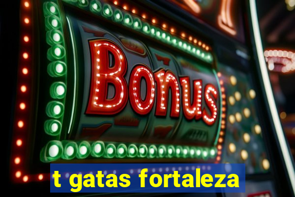 t gatas fortaleza