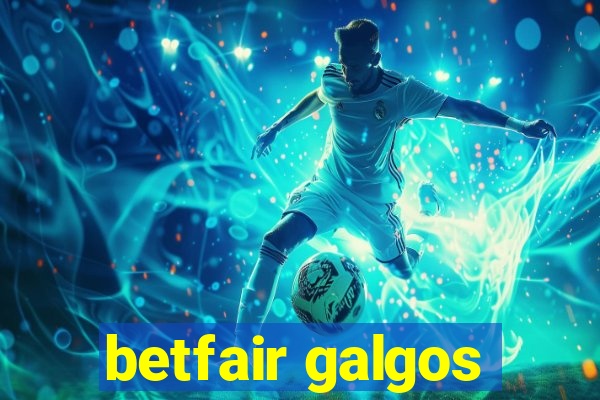 betfair galgos