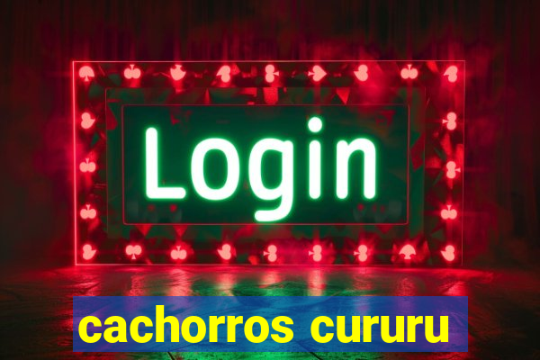 cachorros cururu