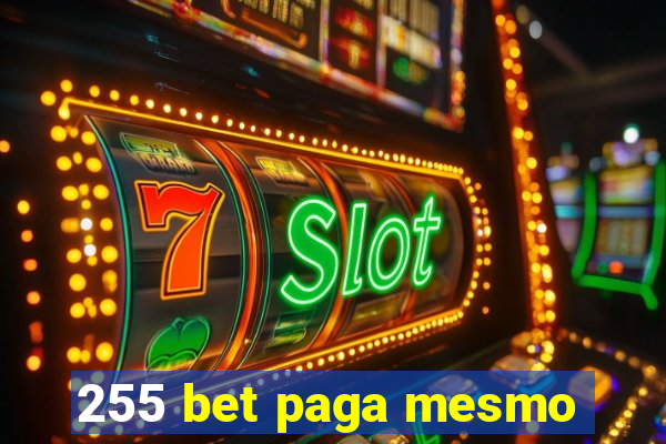 255 bet paga mesmo