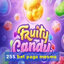 255 bet paga mesmo