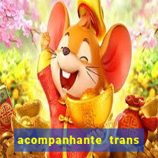 acompanhante trans de santos