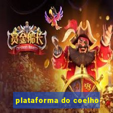 plataforma do coelho